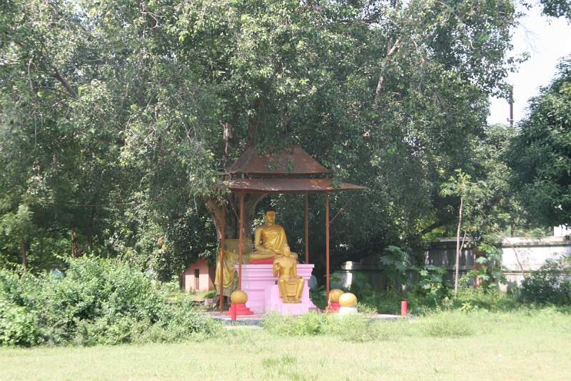 India & Nepal 2011 - 0721